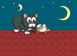 A cat and a mouse at the rooftop