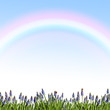 Frühling