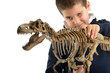 Examining Dino