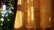 Open door with garden view and curtain on sunny day