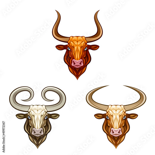 Vector: Bull head Bull head
