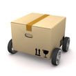 Express Shipment
