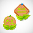 vector illustration of eco friendly tag with leaf