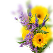 Bouquet of gerbera