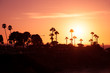 Pink Sunset At Tropical Coast ...