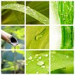Collage nature et eau