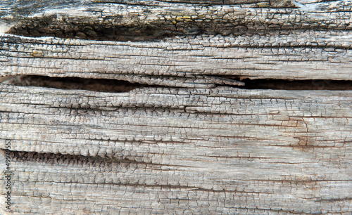 Photo: Old wood Old wood