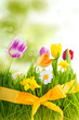 Blumengeschenk