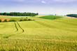 Farmland in Upper Austria
