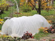 Spunbond Hotbed For Wintering ...