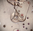 Macro of clockwork mechanisms.