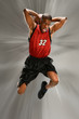 Basketball Player