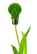 eco energy bulb isolated on white