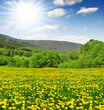 Spring landscape in the national park Sumava - Czech Republic