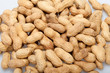.Dried peanuts in closeup on the white background