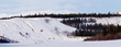 Yukon winter landscape and dogs pull musher sled