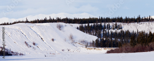 Photo: Yukon winter landscape and dogs pull musher sled Yukon winter landscape and dogs pull musher sled
