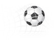 Soccer Ball in the goal net