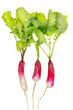 natural spring vegetable