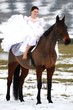 Équitation