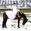 Équitation