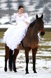 Équitation
