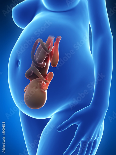 Illustration: 3d rendered illustration of a pregnant woman 3d rendered illustration of a pregnant woman