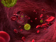 3d rendered illustration of the HIV virus