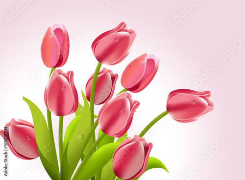 Vector: Beautiful Tulips. Beautiful Tulips.