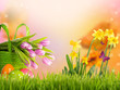 natur
