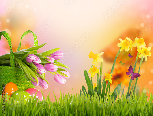 Photo: natur natur