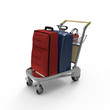 bags on a cart