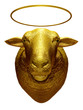 innocent lamb