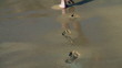 Footprints on the beach left behind, , slow motion shot at 480fp