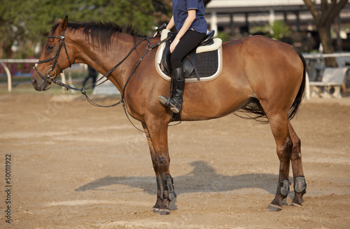 Photo: man on horse back man on horse back