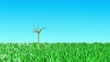 Growing tree animation