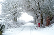 Photo: Snowy winter scene Snowy winter scene