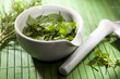 Photo: Herbal Medicine Still life Herbal Medicine Still life