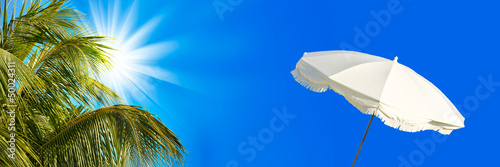 Photo: Panorama palmier parasol Panorama palmier parasol