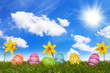 Photo: bunte Ostereier auf Rasen (VIII) bunte Ostereier auf Rasen (VIII)