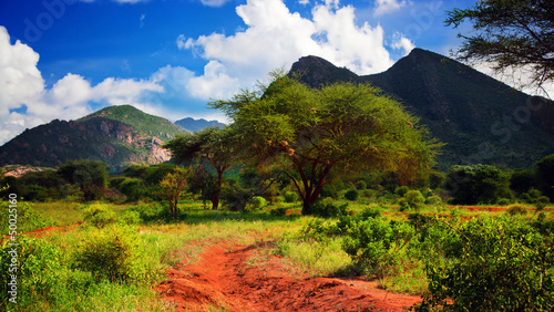 Fototapeta Red ground road, bush with savanna. Tsavo West, Kenya, Africa