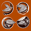 cacao beans chocolate