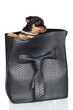 adorable puppy in a handbag