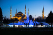 Blue Mosque at the istanbul Turkey