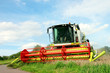 Harvesting wheat