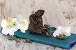 Wellness & Entspannung