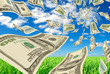 Dollars on background sky and herbs.