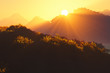 Sunset in the Deep Jungle
