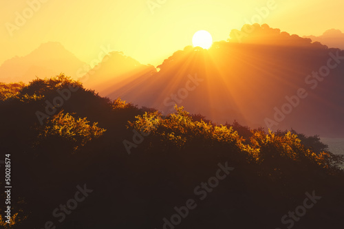 Photo: Sunset in the Deep Jungle Sunset in the Deep Jungle