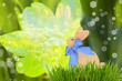 Ostern Bokeh Hintergrund - Osterhase vor Narzisse